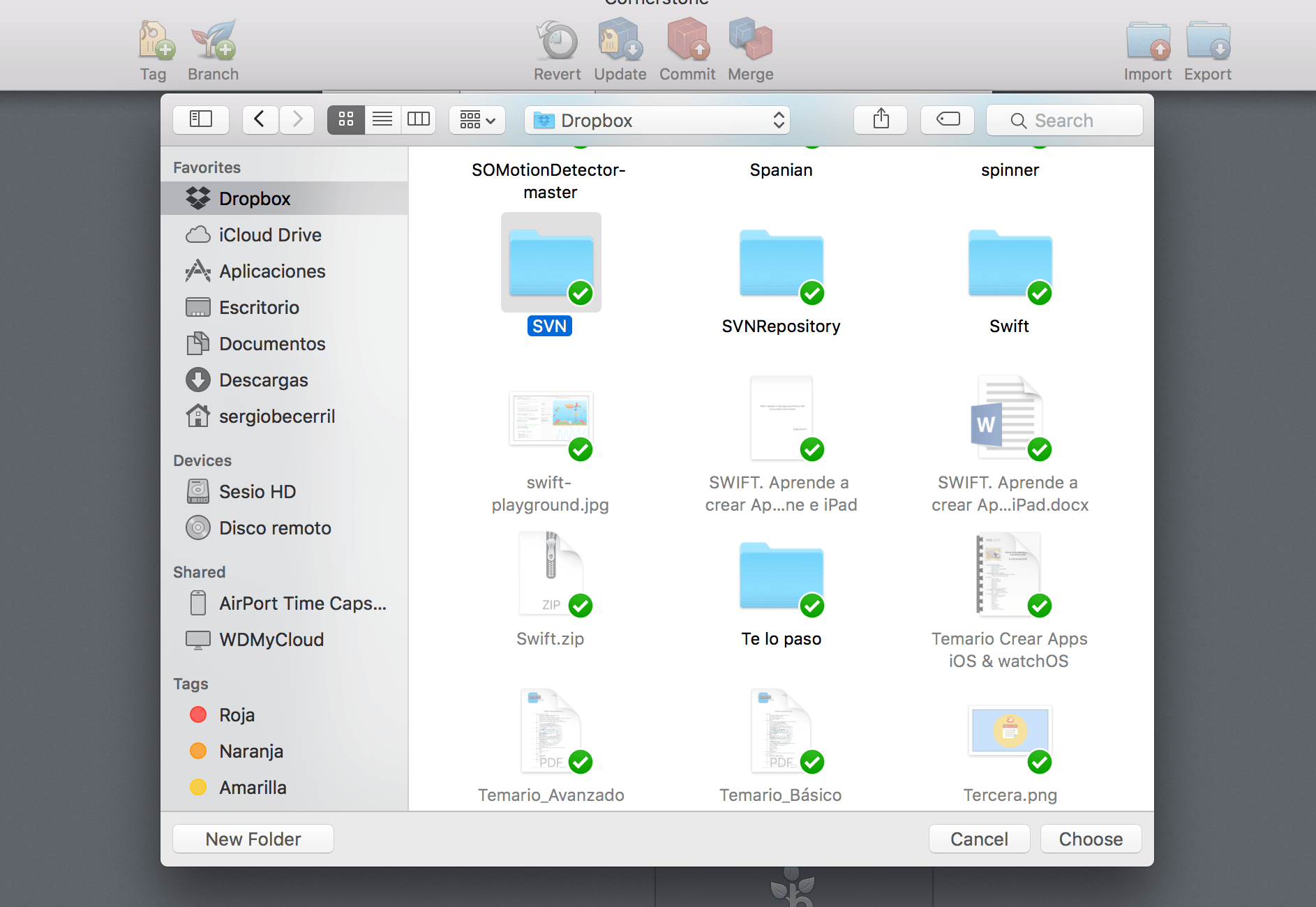 Control-de-versiones-Subversion-Cornerstone-Dropbox-6